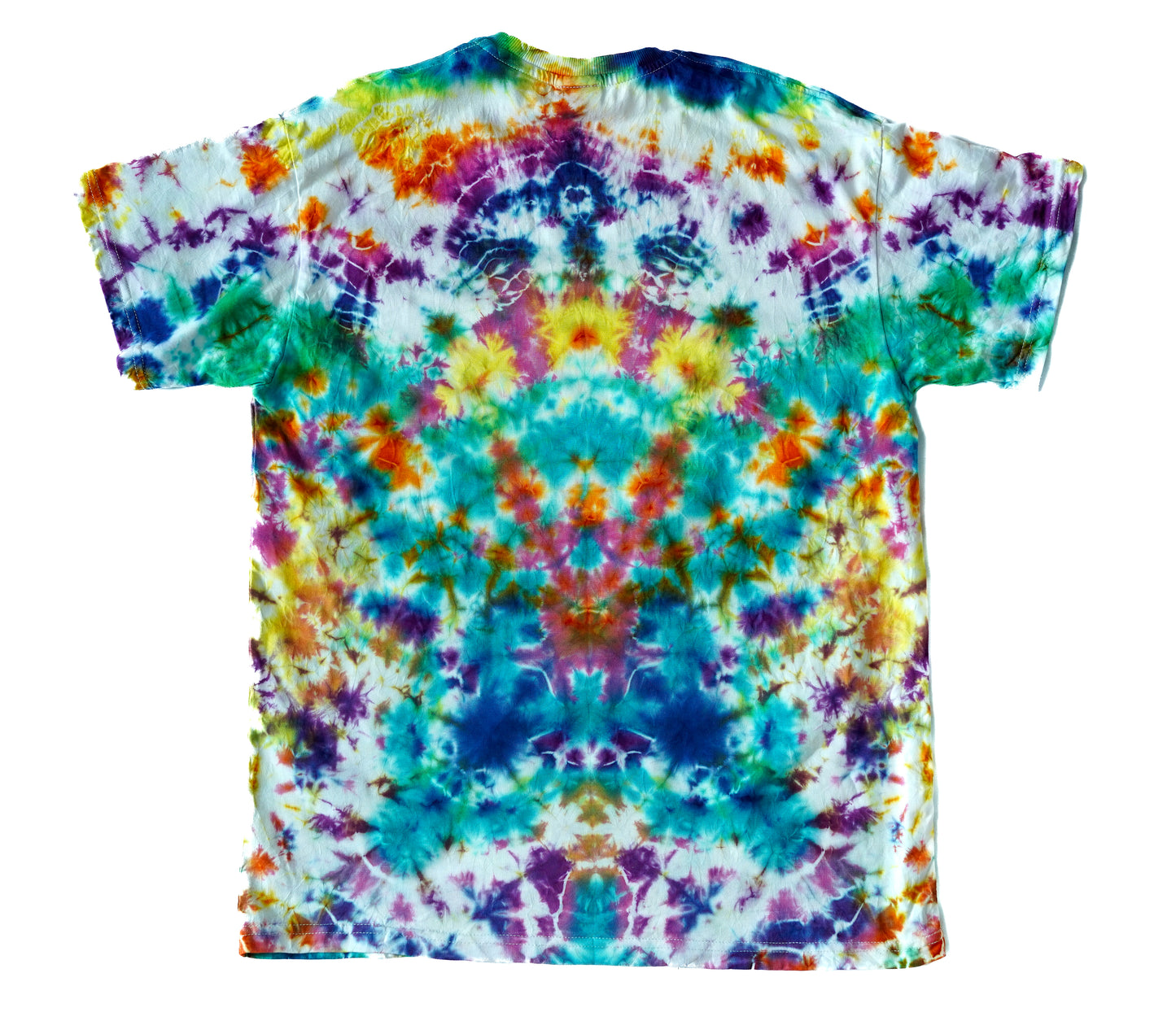 ocl22-Size L